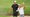 Patrick Cantlay watches Xander Schauffele hit a shot from a bunker at East Lake.