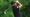 Stephan Jaeger of Germany plays his tee shot on the 11th hole during the second round of the 2024 PGA Championship at Valhalla Golf Club on May 17, 2024 in Louisville, Kentucky